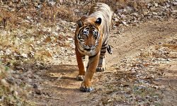 Later we meet her again Later we meet her again