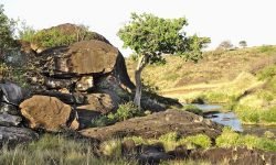 Leopard den - hole in the rocks Leopard den - hole in the rocks