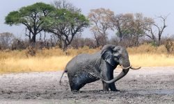 Mud bath moment (1) Mud bath moment